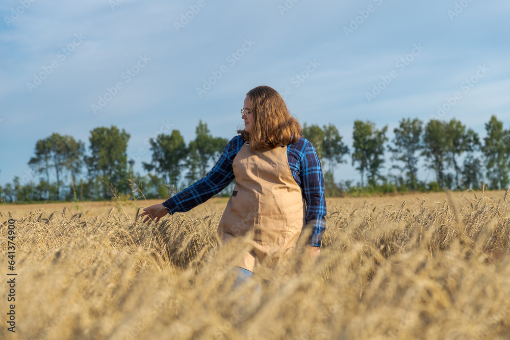 Portrait of cheerful brown haired plus size caucasian woman in blue checkered shirt and beige apron walking on agricultural field and touching ripe ears of wheat in a summer day. Agritourism theme. Portrait of cheerful brown haired plus size caucasian woman in blue checkered shirt and beige apron walking on agricultural field and touching ripe ears of wheat in a summer day. Agritourism theme.