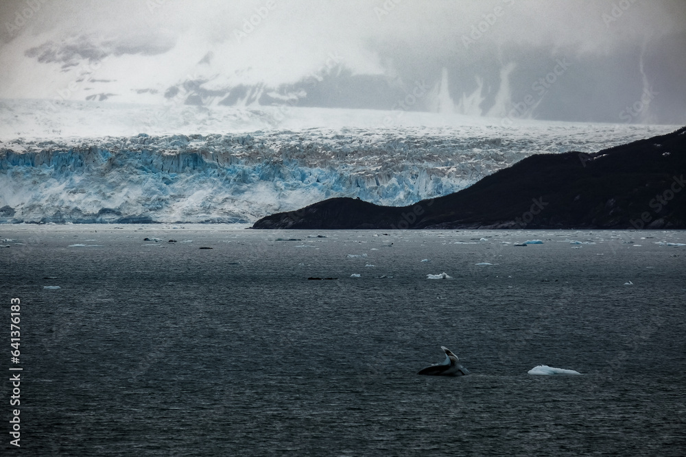 Obraz premium Cruise to Hubbard Glacier Bay in Alaska with floating ice bergs and drift ice floes on ocean water surface surrounded by snow cap mountains and wildlife wild nature scenery Last Frontier adventure