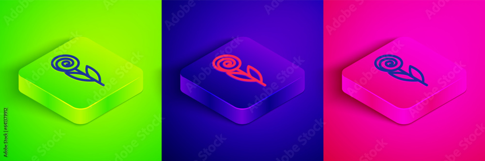 Fototapeta premium Isometric line Flower icon isolated on green, blue and pink background. 8 March. International Happy Women Day. Square button. Vector