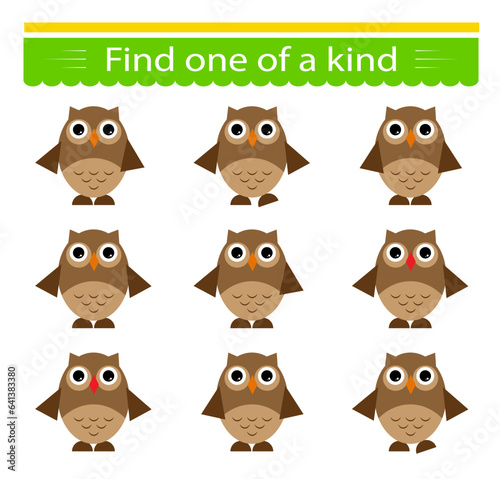 Educational game for children. Need to find one of a kind owl.