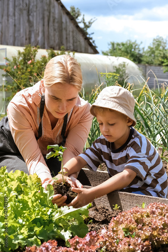 Wallpaper Mural Gardening Family gardeners plant a plant in the ground.Agroculture.plants garden, farming, freelance, work at home, slow life, mood Agriculture, gardening cottagecore, ecology,agrarian life Torontodigital.ca