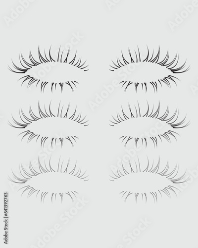  Eyelashes set on white background, girl, salon, vector illustration, mascara, illustration, beauty, eyelash, lash, vector, false, eye, isolated