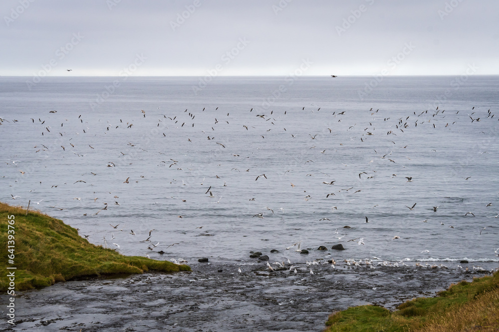 Landscape of the Snaefellsness Peninsula (iceland)