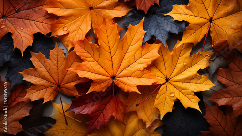 Maple leaf desktop wallpaper in autumn. The leaves have changed color due to the change of season.
