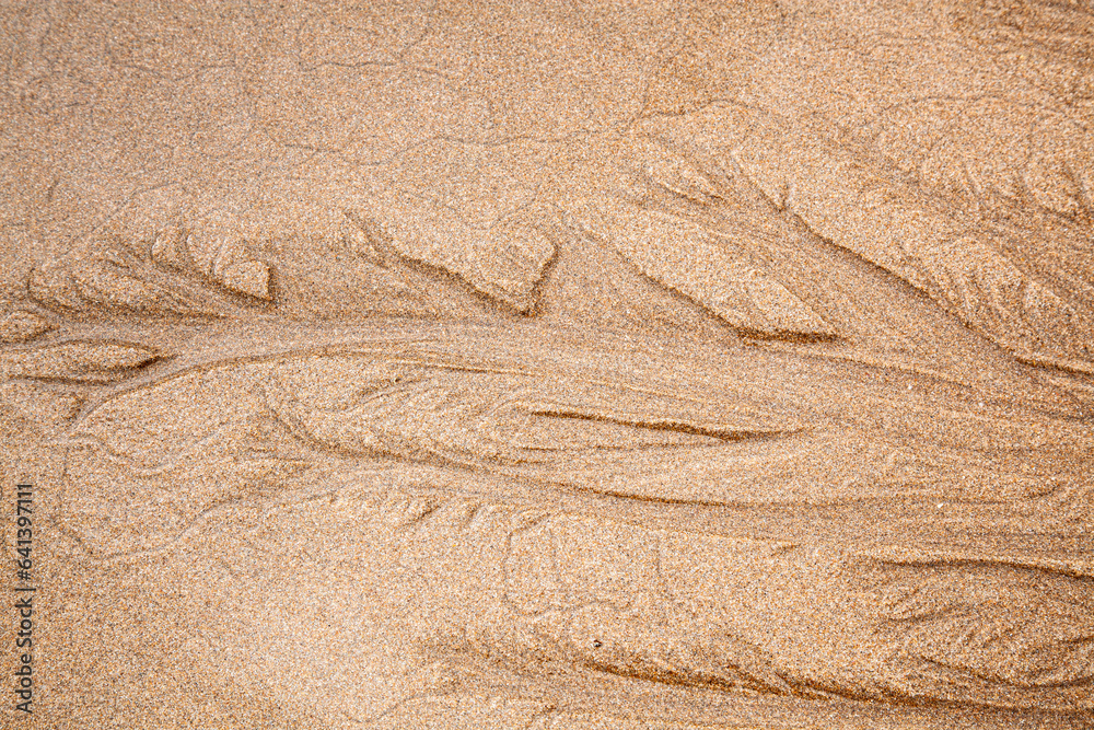 huellas de las olas del mar sobre la arena a la orilla de la playa - obrazy, fototapety, plakaty 