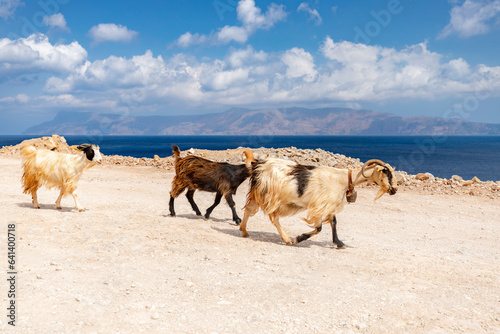 Pocztówka z podróży, krajobraz morski, urlop i zwiedzanie greckiej wyspy Kreta, Grecja