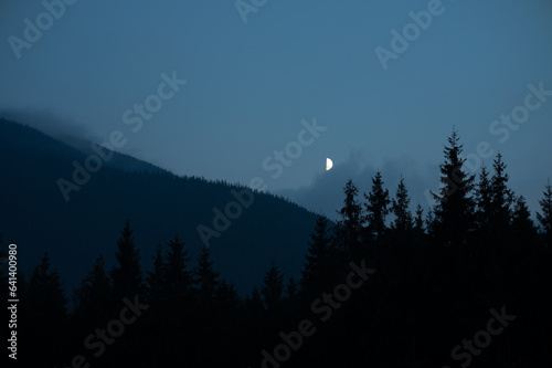 Fotografija Moon in the mountains landscape with coniferous trees