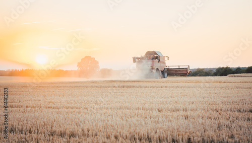 Combine harvester harvesting wheat during sunset on a summer day © Kzenon