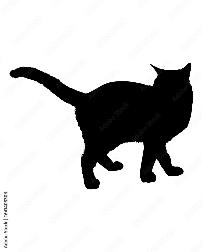 Black Cat Silhouette vector illustration