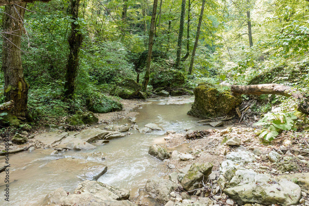 Morning on a mountain river, awakening in nature summer sunny mood. Morning on a mountain river, awakening in nature summer sunny mood.