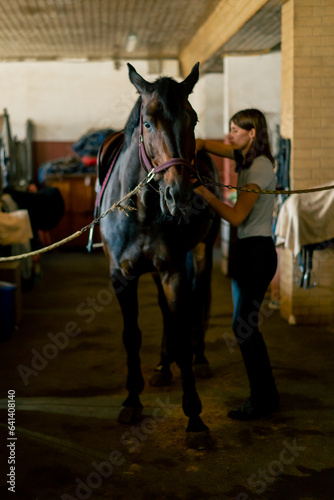A rider puts a saddle on her black horse in the stables in preparation for the race equestrian concept 