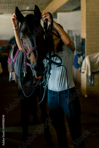 A rider puts harness on her black horse in the stables in preparation for a race equestrian concept 