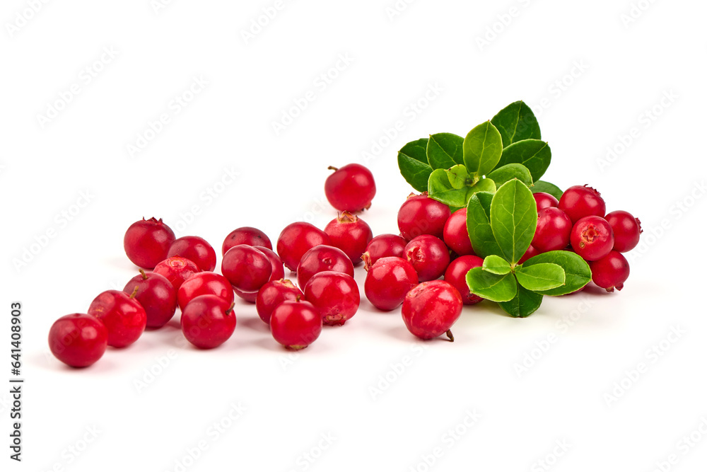 Fresh wild lingonberry berries with leaves, isolated on white background. Fresh wild lingonberry berries with leaves, isolated on white background.