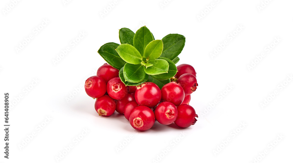 Wild cowberry, foxberry, lingonberry with leaves, isolated on white background. High resolution image. Wild cowberry, foxberry, lingonberry with leaves, isolated on white background. High resolution image.
