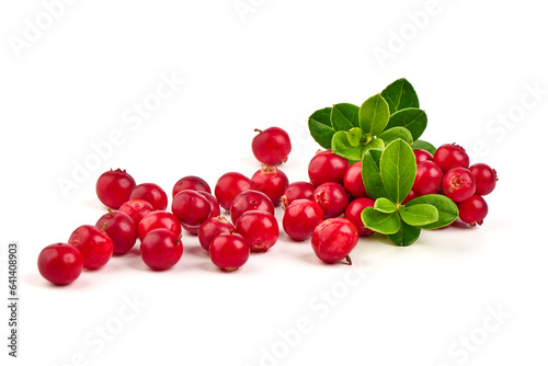 Bilde på lerret Fresh wild lingonberry berries with leaves, isolated on white background