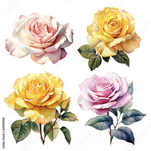 Set of watercolor rose flowers. Clipart flower illustraton. Generated AI © OlyGutArt