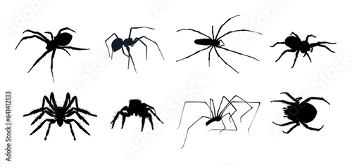 set of spider silhouettes - vector illustration © KR Studio