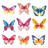 Butterfly Fantasy: Watercolor Colorful Set of Butterflies, White