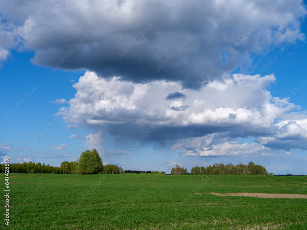countryside farm meadow with fresh cut green grass