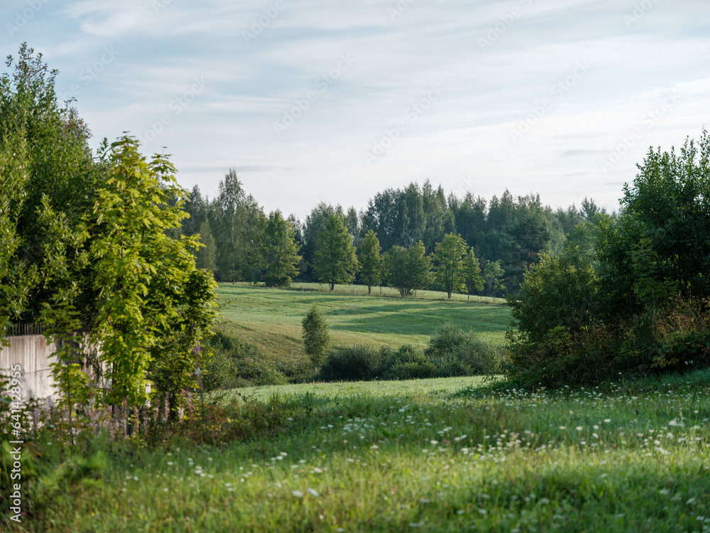 countryside farm meadow with fresh cut green grass