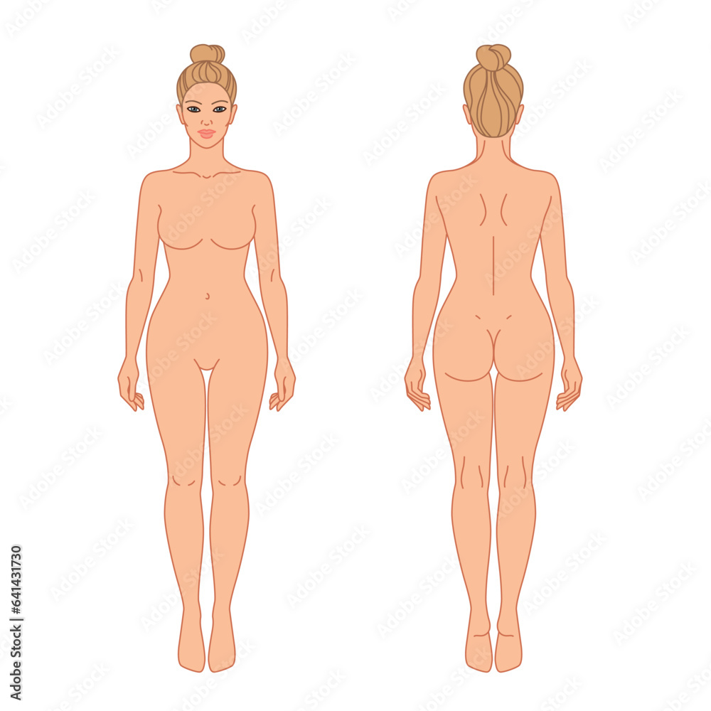 Fototapeta premium Woman body front and back view vector illustration. Isolated outline line contour color template girl without clothes. Anatomy of healthy female body shapes. Female figure vector human body in linear