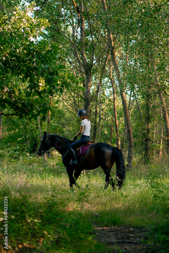 A rider dressed in a helmet rides her beautiful black horse in the forest during a horseback ride