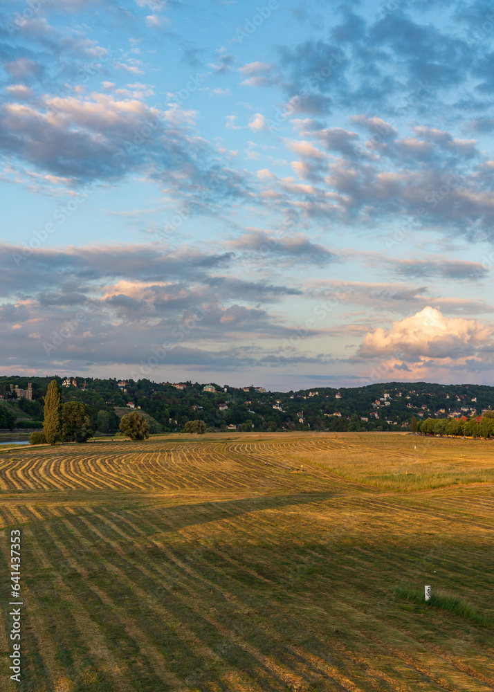 Valley near the river Elbe in Dresden, Germany. Mowed meadow at sunset. Beautiful clouds in the sunset sky