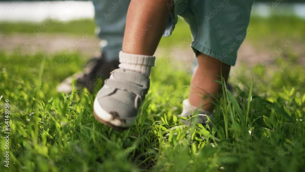First steps of child in nature.Child,with help of his father, takes his first steps in park.Happy kid with dad on grass in park. toddler takes first steps in nature on green grass.Happy family concept First steps of child in nature.Child,with help of his father, takes his first steps in park.Happy kid with dad on grass in park. toddler takes first steps in nature on green grass.Happy family concept