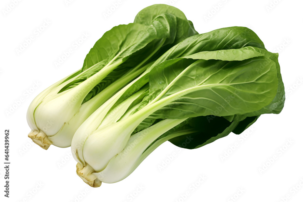 Bok Choy isolated on a white background, png Bok Choy isolated on a white background, png