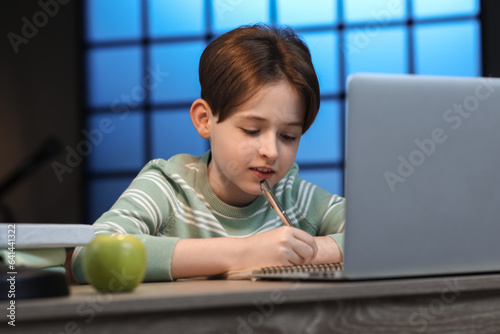 Schoolboy studying online a...