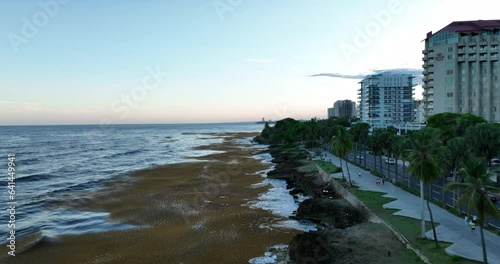 Malecon Santo Domingo sea weed problem global worming photo