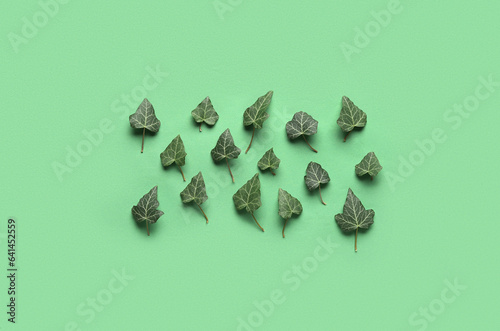 Ivy leaves on green background © Pixel-Shot