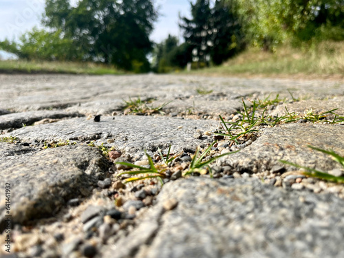 Sidewalk road lined with old stones close-up