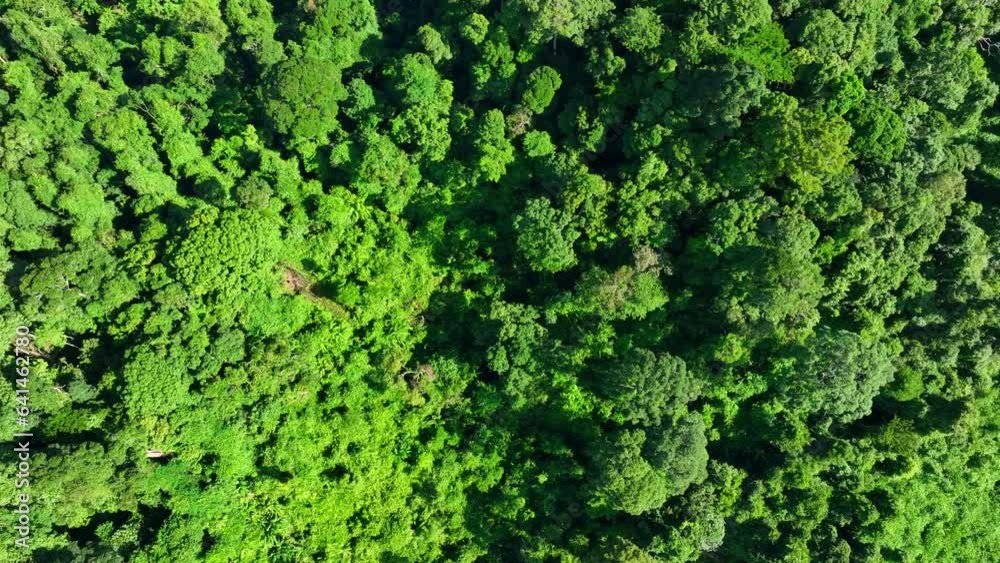 The drone's propellers emit a gentle hum, blending harmoniously with the distant sounds of chirping birds, rustling leaves, and the distant rush of a nearby stream. The air is filled with earthy scent The drone's propellers emit a gentle hum, blending harmoniously with the distant sounds of chirping birds, rustling leaves, and the distant rush of a nearby stream. The air is filled with earthy scent