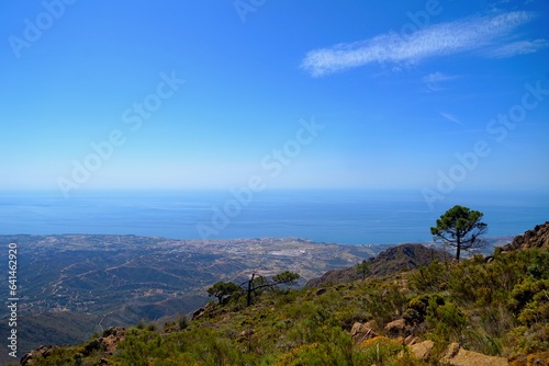 panorama view from the Pico de Los Reales over the coastline of the Costa del Sol towards the Mediterranen Sea, Paraje Natural Los Reales de Sierra Bermeja, Estepona, Andalusia, Malaga, Spain