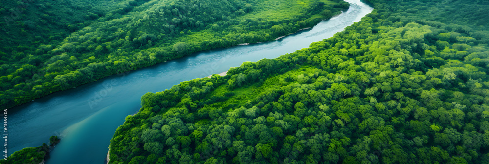 A Wide Aerial Shot of the Amazon River Flowing Through the Remote Jungle