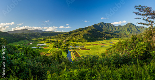 Broad panorama of an early morning view over the Hanalei valley and wildlife refuge from the Princeville overlook photo