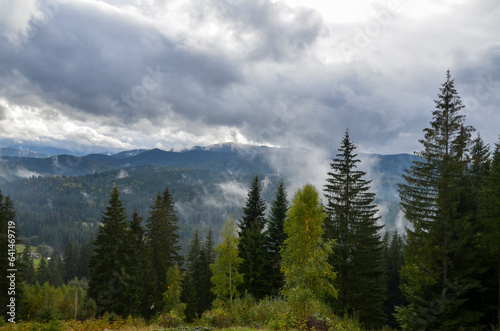 Misty landscape with fog and low lying clouds on mountain range and fir forest. Carpathian mountains on autumn. Ukraine
