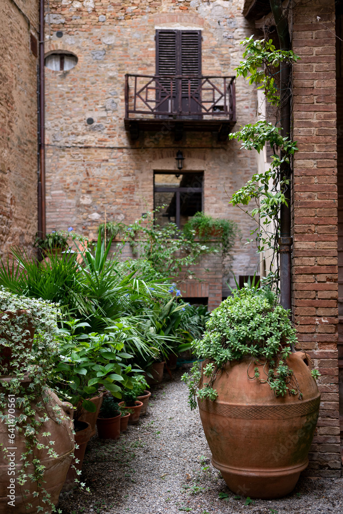 Small italian garden with clay pots full of plants