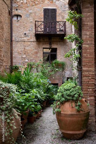 Small italian garden with clay pots full of plants