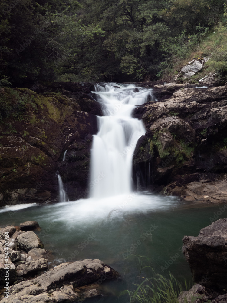 waterfall in the forest