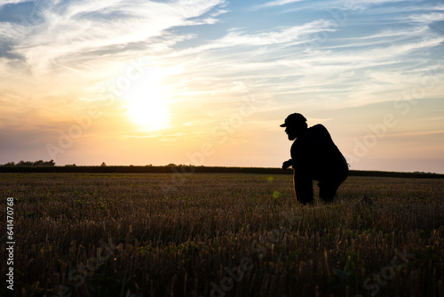 Tableau sur toile Silhouette Real Farmer Inspects Double Crop Beans at Sunset