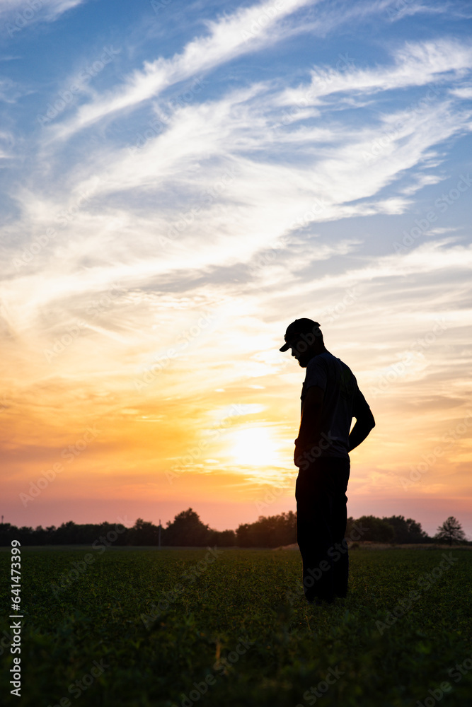 Silhouette Real Farmer Inspects Alfalfa Field Progress at Sunset
