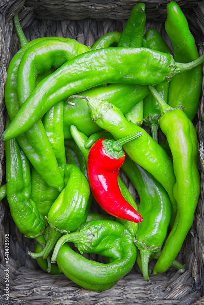 Green peppers and a red pepper flat lay.