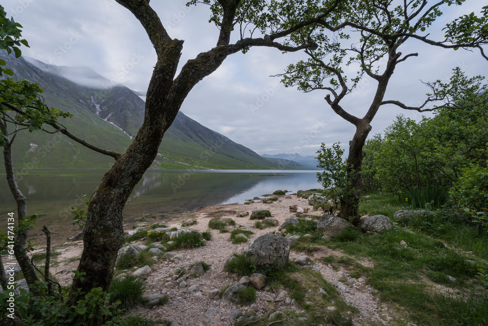 Scenic landscape on the coast of Loch Etive.
Scenic landscape on the coast of Loch Etive.