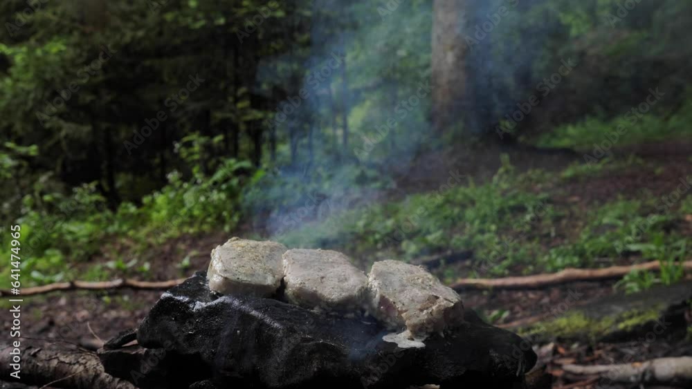 A hand man cooks meat, preparation steaks on a rock in the forest a close-up hike. Bonfire with fire for cooking in the field in nature A hand man cooks meat, preparation steaks on a rock in the forest a close-up hike. Bonfire with fire for cooking in the field in nature