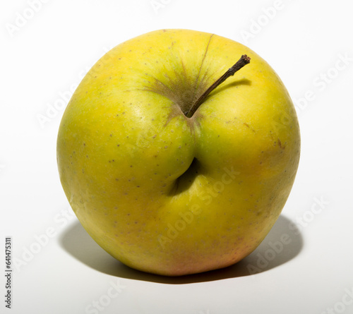 Ugly mutant apple. The fruit is yellow on a white background. photo