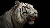 Close-up head shot of white tiger with dark background generative ai