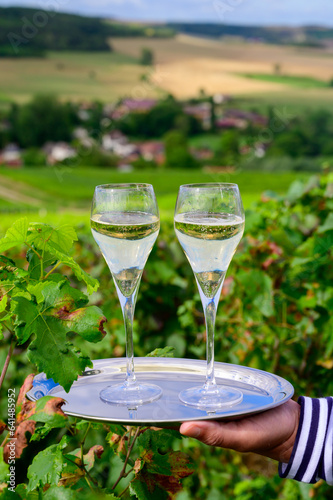 Drinking of sparkling white wine with bubbles champagne on green hilly vineyards in small village Urville in Cote des Bar, Champagne region, France