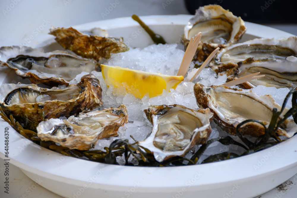 Fresh french Gillardeau oysters molluscs shucked on ice with lemon ready to eat close up Fresh french Gillardeau oysters molluscs shucked on ice with lemon ready to eat close up
